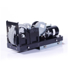 Automatic Roller Wheel Swing Gate Opener G600